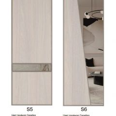 Шкаф-купе 2250 серии SILVER S3+S1+S4 B22+PL3 (по 2 ящика лев/прав+2 штанги) профиль «Серебро» в Нытве - nytva.mebel24.online | фото 14