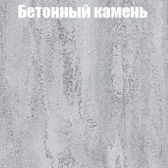 Шкаф-купе Бассо 1.0 (Дуб Крафт серый/Бетонный камень) 2 двери ЛДСП в Нытве - nytva.mebel24.online | фото 3