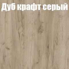 Шкаф-купе Бассо 1.0 (Дуб Крафт серый/Бетонный камень) 2 двери ЛДСП в Нытве - nytva.mebel24.online | фото 4