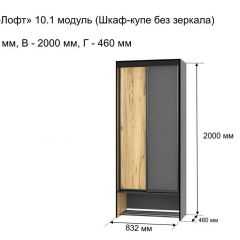 ОЛЬГА-ЛОФТ 10.1 Шкаф-купе без зеркала в Нытве - nytva.mebel24.online | фото 3