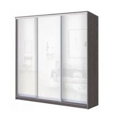 Шкаф-купе ХИТ 22-20/2-888 (620) в Нытве - nytva.mebel24.online | фото 9