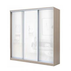 Шкаф-купе ХИТ 22-20-888 (620) в Нытве - nytva.mebel24.online | фото 7