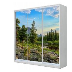 Шкаф-купе ХИТ 23-20/2-777 (620) в Нытве - nytva.mebel24.online | фото