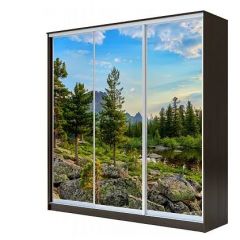 Шкаф-купе ХИТ 23-4-18-777 (420) в Нытве - nytva.mebel24.online | фото 1