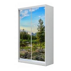Шкаф-купе ХИТ 24-4-17-77 (420) в Нытве - nytva.mebel24.online | фото