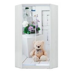 Шкаф-купе ХИТ-У-23-4-77 в Нытве - nytva.mebel24.online | фото