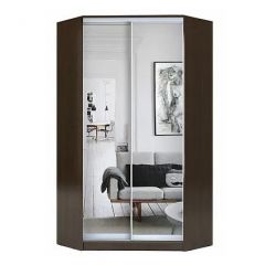 Шкаф-купе ХИТ-У-L-23-64-55 в Нытве - nytva.mebel24.online | фото 1