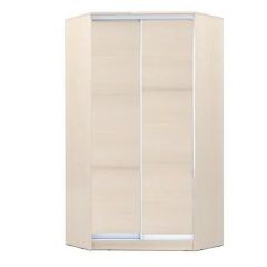 Шкаф-купе ХИТ-У-L-24-64-11 в Нытве - nytva.mebel24.online | фото 7