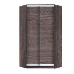 Шкаф-купе ХИТ-У-L-24-64-11 в Нытве - nytva.mebel24.online | фото 11