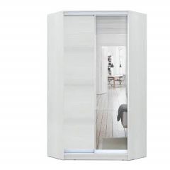 Шкаф-купе ХИТ-У-L-24-64-15 в Нытве - nytva.mebel24.online | фото