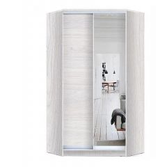 Шкаф-купе ХИТ-У-L-24-64-15 в Нытве - nytva.mebel24.online | фото 6