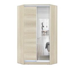Шкаф-купе ХИТ-У-L-24-64-15 в Нытве - nytva.mebel24.online | фото 8