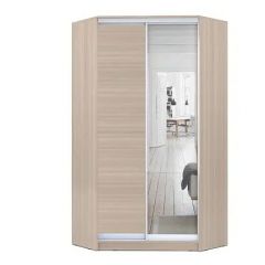 Шкаф-купе ХИТ-У-L-24-64-15 в Нытве - nytva.mebel24.online | фото 9