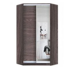 Шкаф-купе ХИТ-У-L-24-64-15 в Нытве - nytva.mebel24.online | фото 11