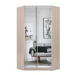 Шкаф-купе ХИТ-У-L-24-64-55 в Нытве - nytva.mebel24.online | фото 9