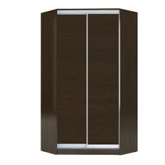 Шкаф-купе ХИТ-У-R-22-64-11 в Нытве - nytva.mebel24.online | фото