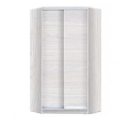 Шкаф-купе ХИТ-У-R-24-64-11 в Нытве - nytva.mebel24.online | фото 5