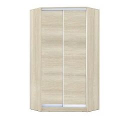 Шкаф-купе ХИТ-У-R-24-64-11 в Нытве - nytva.mebel24.online | фото 8