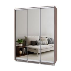 РОЛАНД Шкаф-купе с зеркалами Шимо темный (450*1700) Р473 в Нытве - nytva.mebel24.online | фото