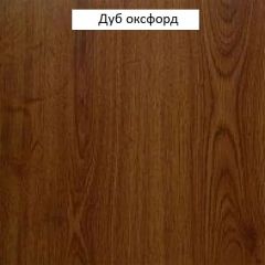 Шкаф многоцелевой №666 "Флоренция" Дуб оксфорд в Нытве - nytva.mebel24.online | фото 3