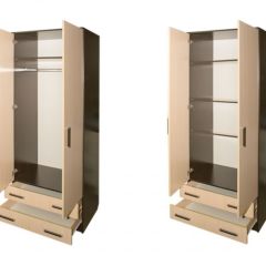 Шкаф распашной ПШ-3.8 в Нытве - nytva.mebel24.online | фото 2