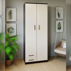 Шкаф распашной ПШ-3.9 в Нытве - nytva.mebel24.online | фото 3