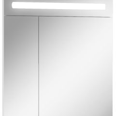 Шкаф-зеркало Аврора 65 с подсветкой LED Домино (DV8006HZ) в Нытве - nytva.mebel24.online | фото 1