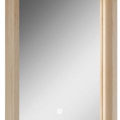 Шкаф-зеркало Nice 45 с подсветкой Домино (DN4704HZ) в Нытве - nytva.mebel24.online | фото 1