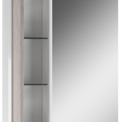Шкаф-зеркало Uno 60 Дуб серый левый/правый Домино (DU1503HZ) в Нытве - nytva.mebel24.online | фото 3