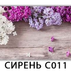 Стол раздвижной Трилогия с фотопечатью Орхидея C012 в Нытве - nytva.mebel24.online | фото 16