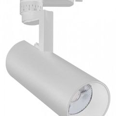 Светильник на штанге Escada 20029 20029TRA/01LED SWH в Нытве - nytva.mebel24.online | фото