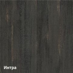 Трувор Прихожая 15.120 N в Нытве - nytva.mebel24.online | фото 3