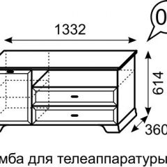 Тумба для телеаппаратуры Венеция 6 бодега в Нытве - nytva.mebel24.online | фото 2