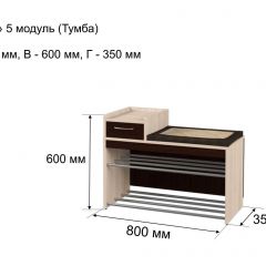 ОЛЬГА 5 Тумба в Нытве - nytva.mebel24.online | фото 3