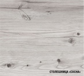 АСАЯ Кухонный гарнитур Экстра 2 (3000 мм) ПМ в Нытве - nytva.mebel24.online | фото 8
