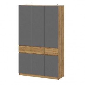 АВИНЬОН Прихожая Шкаф 3-х створчатый с ящиками в Нытве - nytva.mebel24.online | фото