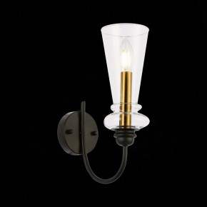 Бра EVOLUCE Rammo SLE112401-01 в Нытве - nytva.mebel24.online | фото 8