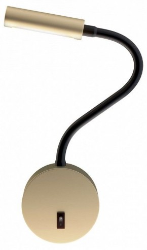 Бра Maytoni Stem C035WL-L3MG3K в Нытве - nytva.mebel24.online | фото