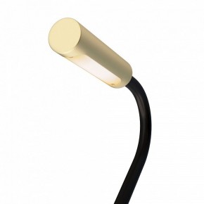 Бра Maytoni Stem C035WL-L3MG3K в Нытве - nytva.mebel24.online | фото 6