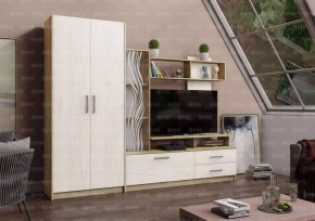 ДАРЬЯ Гостиная (Крафт серый/Крафт белый) модульная в Нытве - nytva.mebel24.online | фото