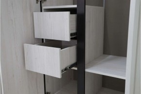 ДЕЛИ 3 Шкаф 3-х створчатый в Нытве - nytva.mebel24.online | фото 7