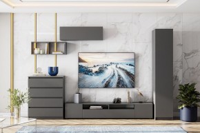 ДЕНВЕР Пенал (Графит серый) в Нытве - nytva.mebel24.online | фото 4