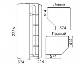 Детская Фанк Шкаф угловой Левый/Правый НМ 013.04-02 М в Нытве - nytva.mebel24.online | фото 3