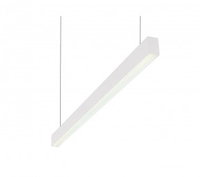 DK9124-WH Линейный светильник 30W 1250mm 4000K, белый в Нытве - nytva.mebel24.online | фото 1