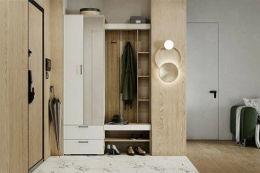 Гарнитур для прихожей Торонто в Нытве - nytva.mebel24.online | фото 5