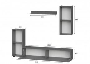 Гостиная МГС 10 (Графит) в Нытве - nytva.mebel24.online | фото 2