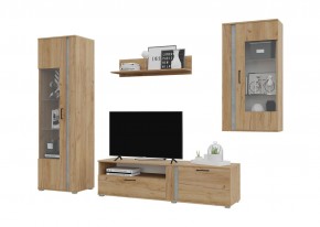 Гостиная Омега (Крафт золотой-Бетон) в Нытве - nytva.mebel24.online | фото 2
