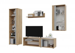 Гостиная Омега (Крафт золотой-Бетон) в Нытве - nytva.mebel24.online | фото 3
