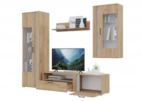 Гостиная Омега (Крафт золотой-Бетон) в Нытве - nytva.mebel24.online | фото 4