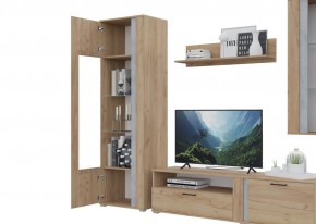 Гостиная Омега (Крафт золотой-Бетон) в Нытве - nytva.mebel24.online | фото 5